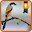 Lanius schach Download on Windows