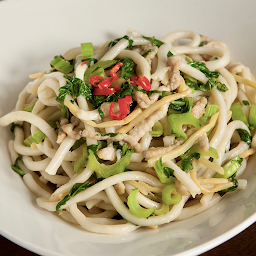 House Fried Pork Noodles