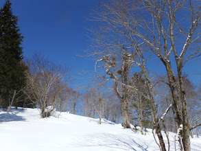 山頂への最後の登り