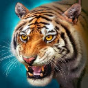 Tiger HD Wallpapers Theme New Tab