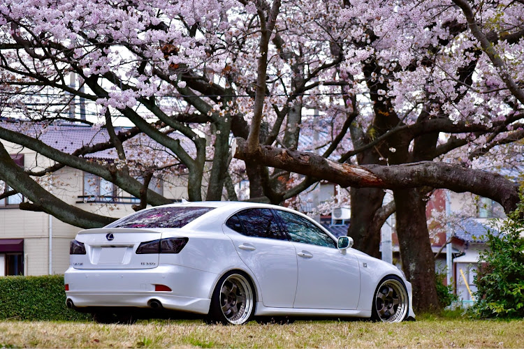 ISの2020ベストショット・一眼レフ・カレンダーに載ってみたいに関するカスタム事例の投稿画像1枚目