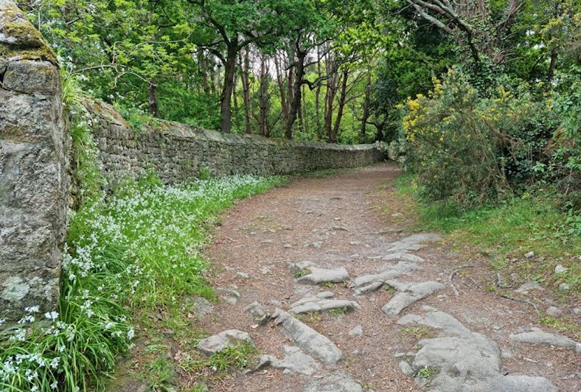  Vente Terrain à bâtir - à Loctudy (29750) 