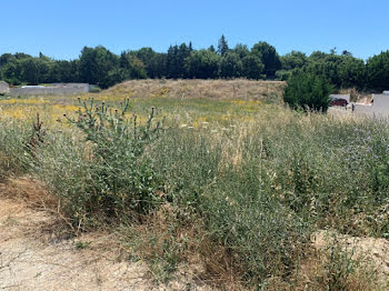 terrain à Saint-Martin-de-Crau (13)