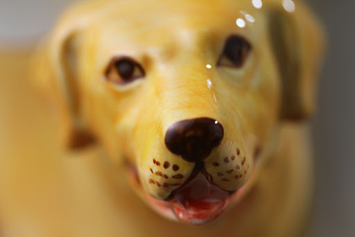 Title 7, Hand Drawn Animal Mug Golden Retriever Ceramic ...