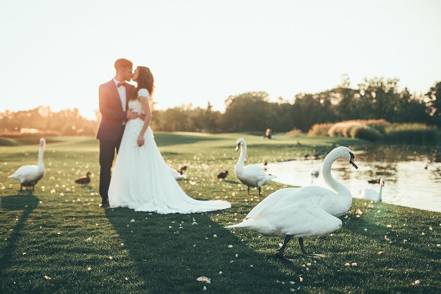 Wedding photographer Natashka Ribkin (ribkinphoto). Photo of 30 October 2018