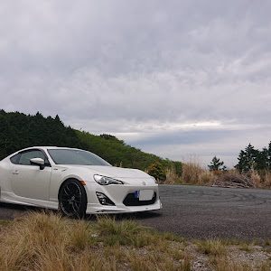 86 ZN6