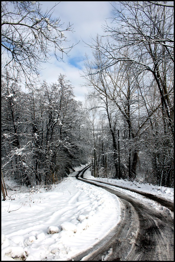 Scie sulla neve di massimo.p