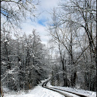 Scie sulla neve di 