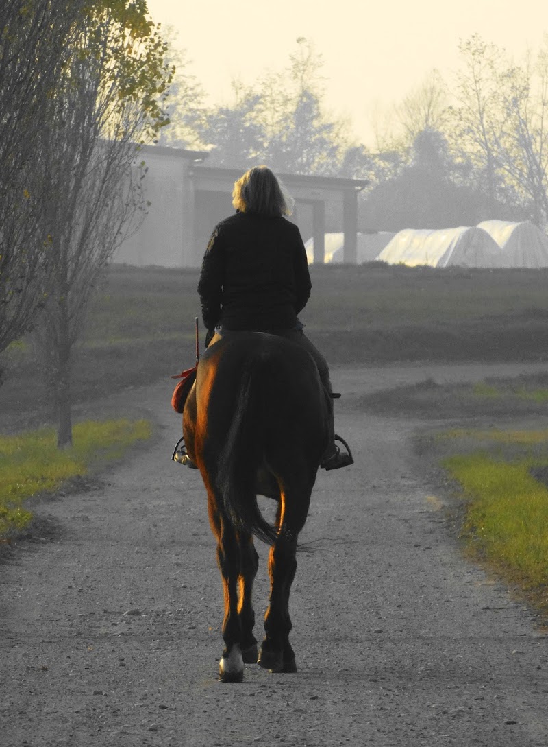 Relax equestre di iento