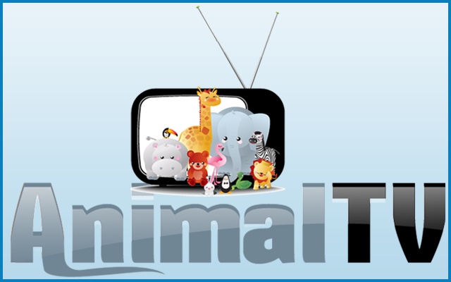 Animal TV