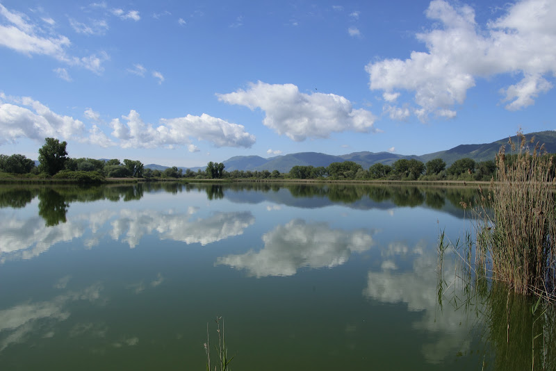 Lago Ripasottile di dino pas