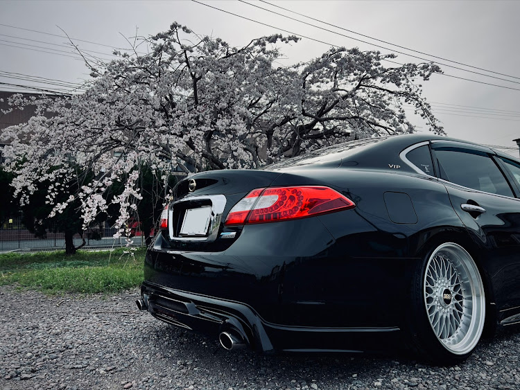シーマのおんせんけん大分♨️・junction produce・MY BBS・4月もよろしくお願い致します🌸・サクラと愛車に関するカスタム事例の投稿画像1枚目
