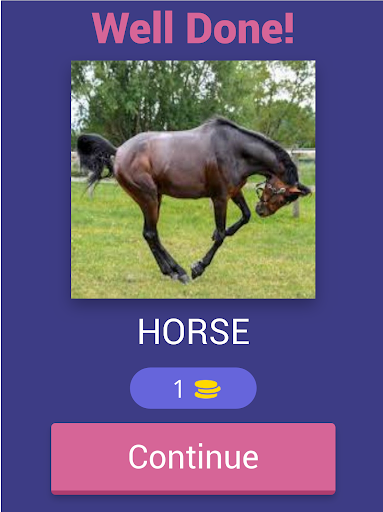 Guess What??? - Animal