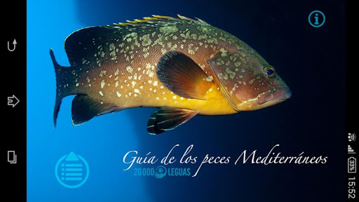 Guía de Peces del Mediterráneo