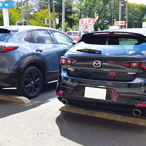 CX-30 DMEP