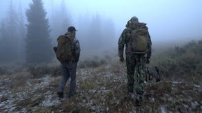 Bow Hunting Public Land Elk, 2022 thumbnail