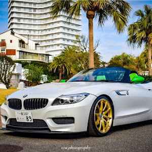 Z4 E89