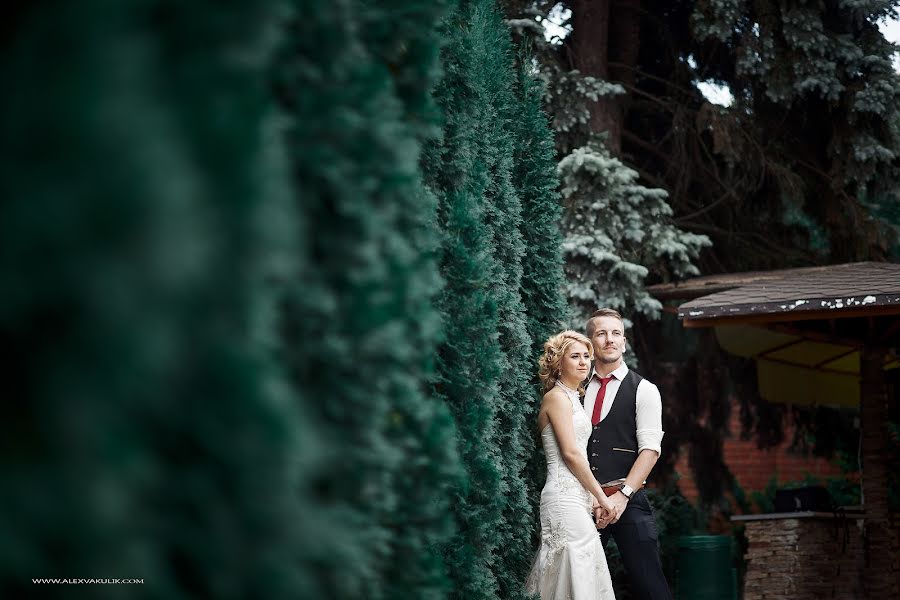 Wedding photographer Aleksandr Vakulik (alexvakulik). Photo of 20 February 2017