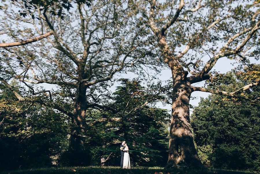 Svatební fotograf Irina Balaevskaya (balaievskaya). Fotografie z 8.prosince 2016