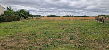 terrain à Lémeré (37)