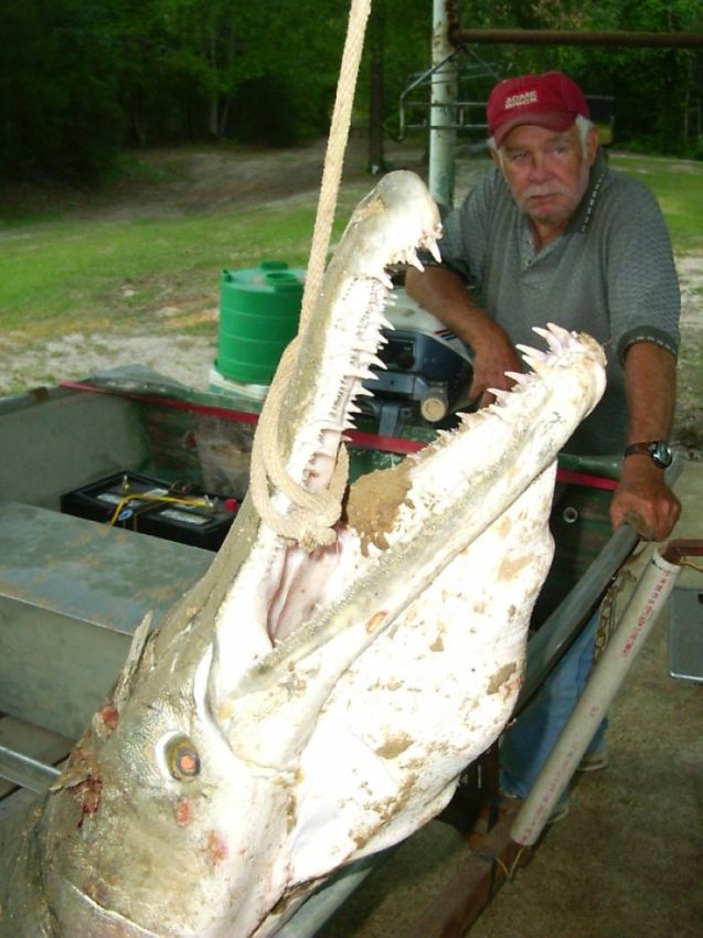 La pesca de Americana