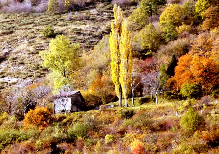 LA TAVOLOZZA DELL' AUTUNNO di rafiki