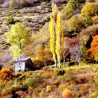 LA TAVOLOZZA DELL' AUTUNNO di 