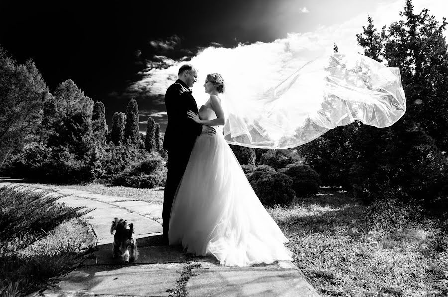 Nhiếp ảnh gia ảnh cưới Ayrat Sayfutdinov (89177591343). Ảnh của 11 tháng 9 2019