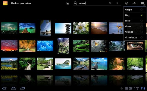 DroidIris+ : Image Search APK (Paid/Full) 4