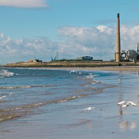 Il Mare e il Cemento di 