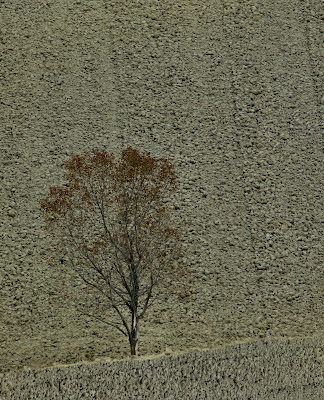  rispettando la natura di ruggeri alessandro