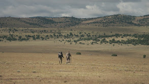 The Prairie Speedster: A Back Pack Pronghorn Hunt thumbnail