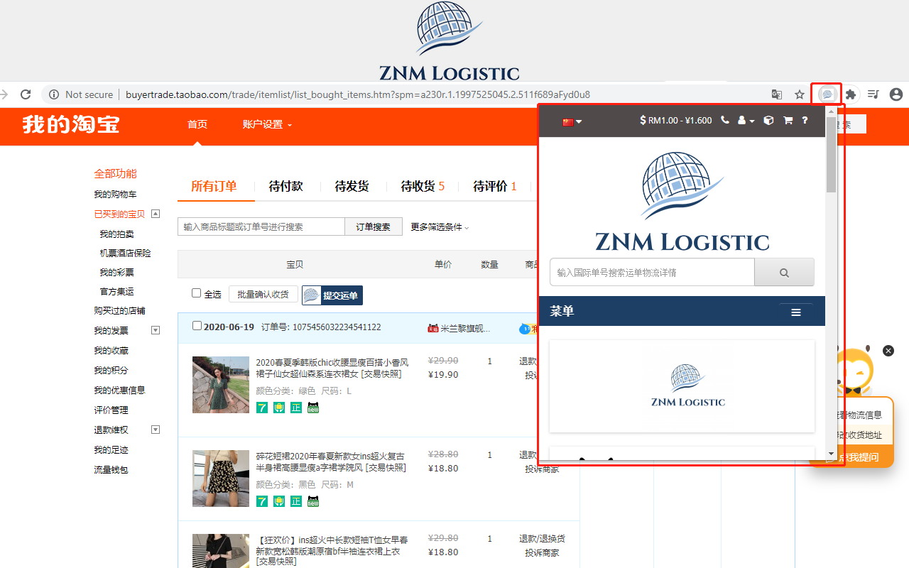 ZNM LOGISTIC Preview image 1