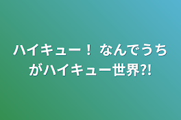 ハイキュー！  なんでうちがハイキュー世界?!