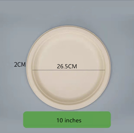 Title 5, 10 Inch Super Strong Paper Plates provide relia...