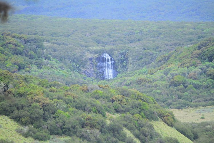 One of the waterfalls in the Aberdare ecosyatem