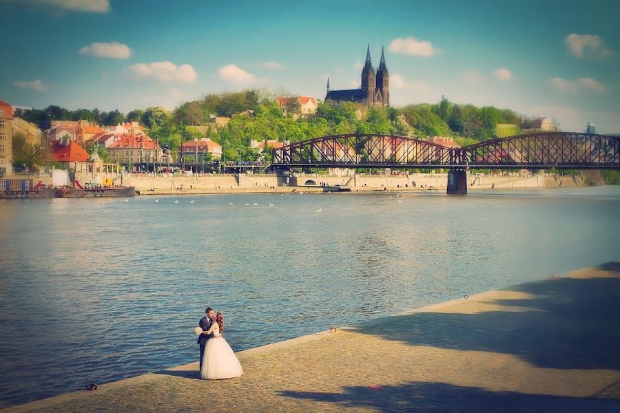 Hochzeitsfotograf Martin Kral (martinkral). Foto vom 23. Mai 2014