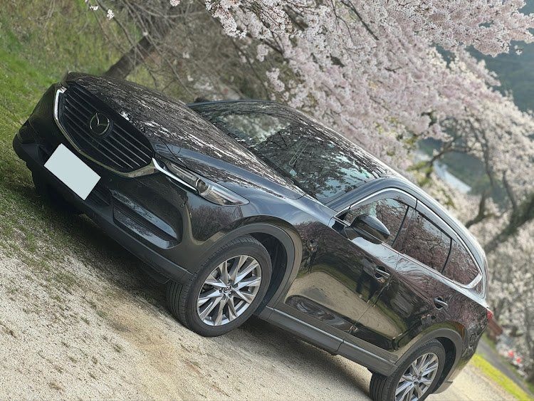 CX-8のサクラと愛車に関するカスタム事例の投稿画像2枚目