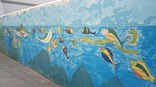 Mural De Peces