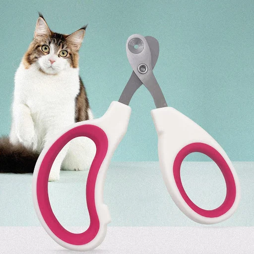 Professional Pet Nail Claw Grooming Scissors For Small Dogs Cats Accessories L6n5