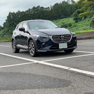 CX-3 DKEFW