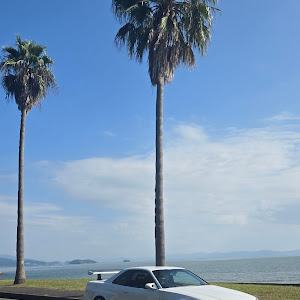 スカイライン GT-R BNR34