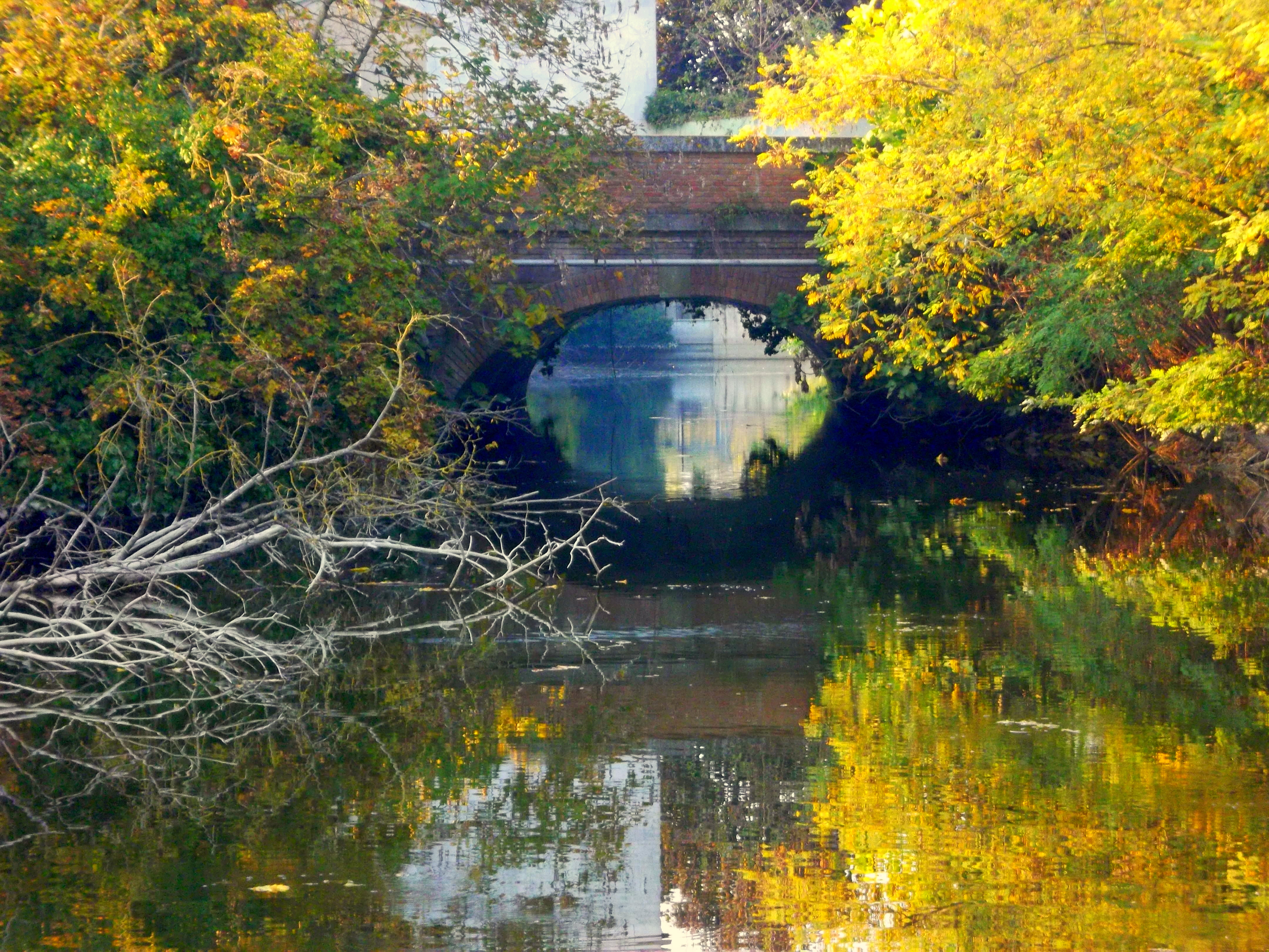 Il ponte sul fossato di Furlissima