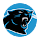 Carolina Panthers New Tab