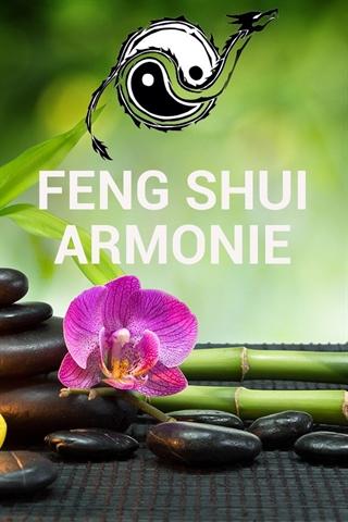 Totul este Feng Shui Screen 2