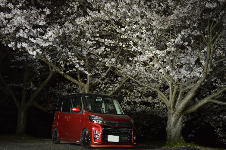 eKスペースカスタムの季節の花と愛車・思い出写真・過去画像よりに関するカスタム事例の投稿画像6枚目