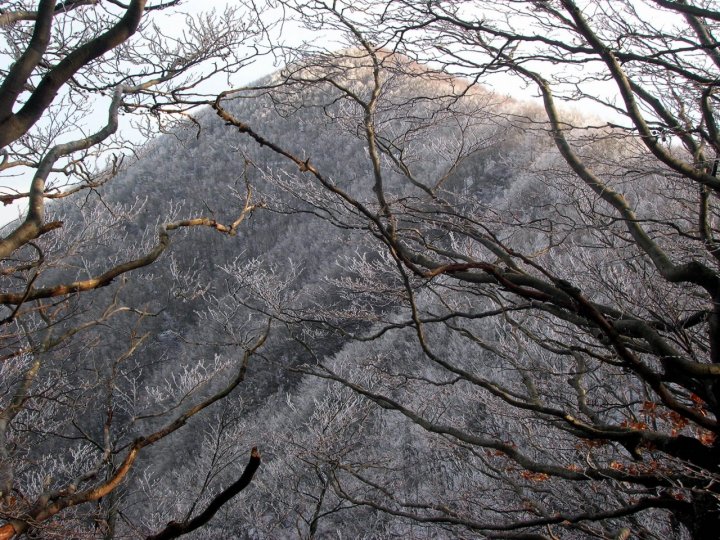 Sguardo sull'inverno di laprincipessa