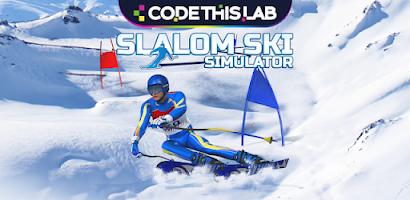 Slalom Ski Simulator Screenshot