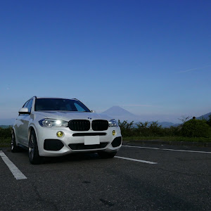 X5 xDrive 35d