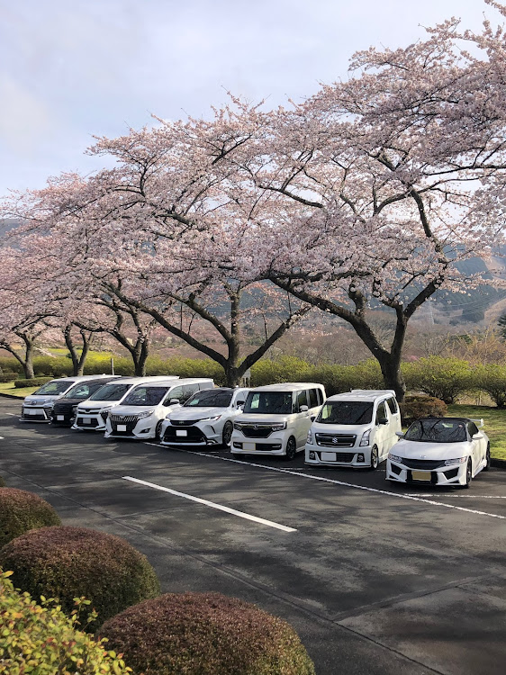 ワゴンRスティングレーのオフ会・桜とコラボ・楽しみすぎる・軽自動車カスタム・4月もよろしくお願い致します🌸に関するカスタム事例の投稿画像2枚目